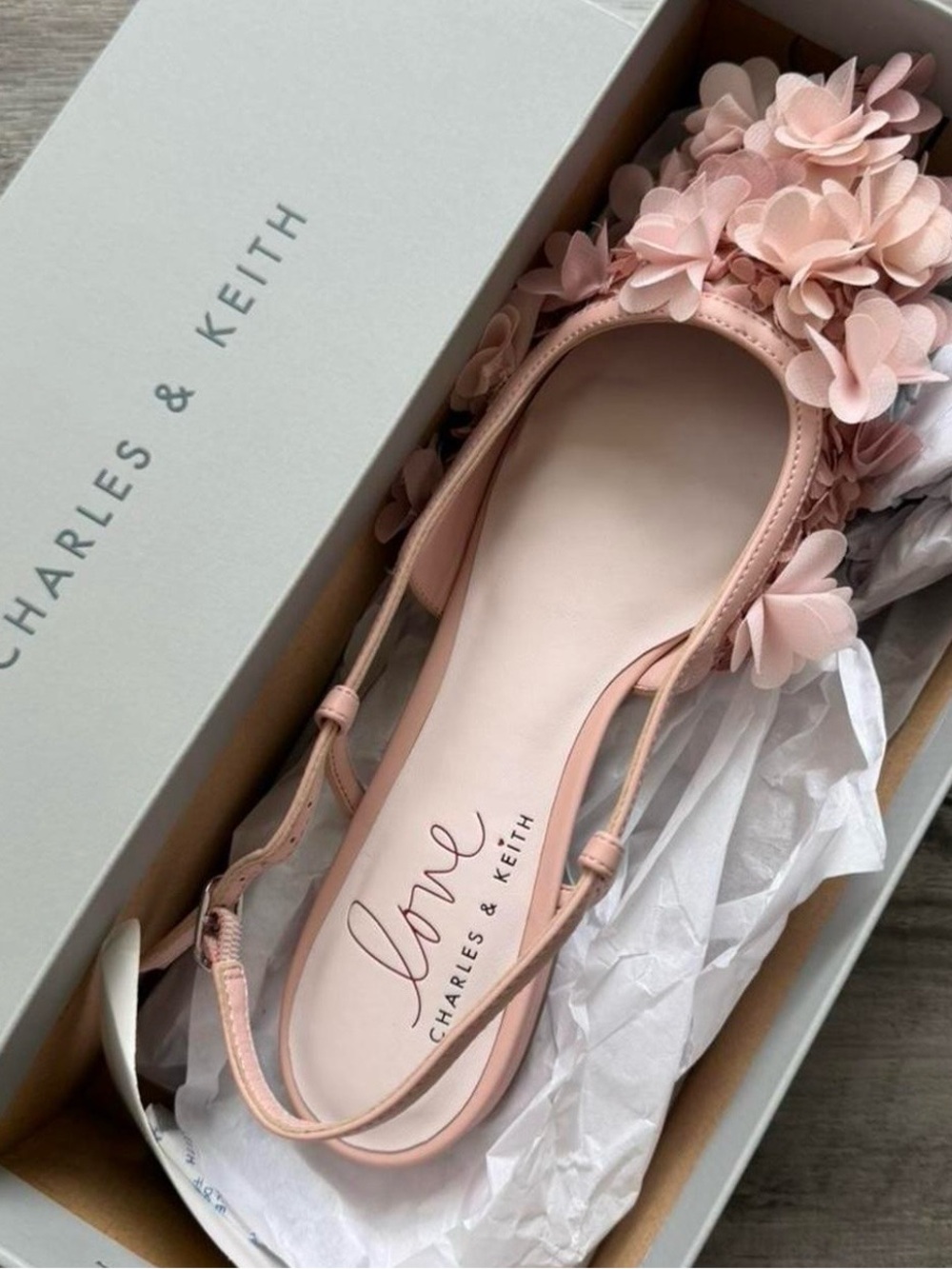 Charles & Keith Blush Pink Floral Slingback Flats